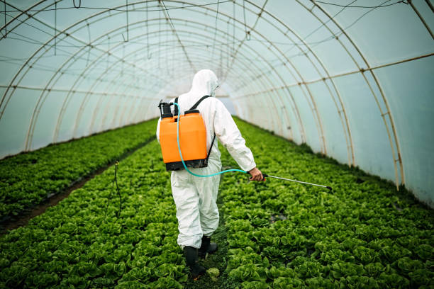 Best Mosquito Control Services  in Shelbina, MO