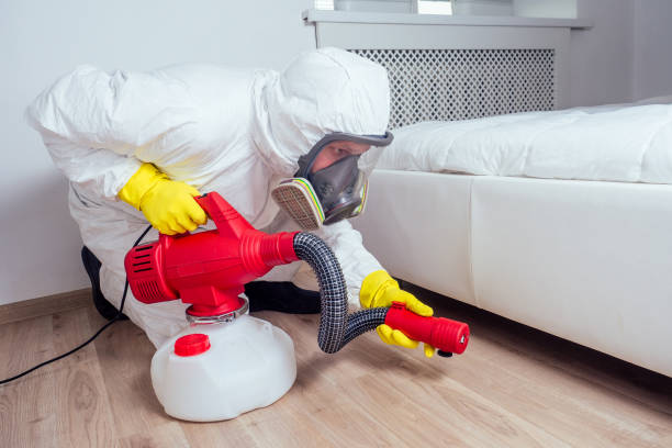 Best Exterminator Services  in Shelbina, MO