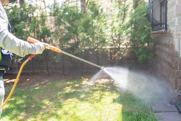 Best Best Pest Control Companies  in Shelbina, MO