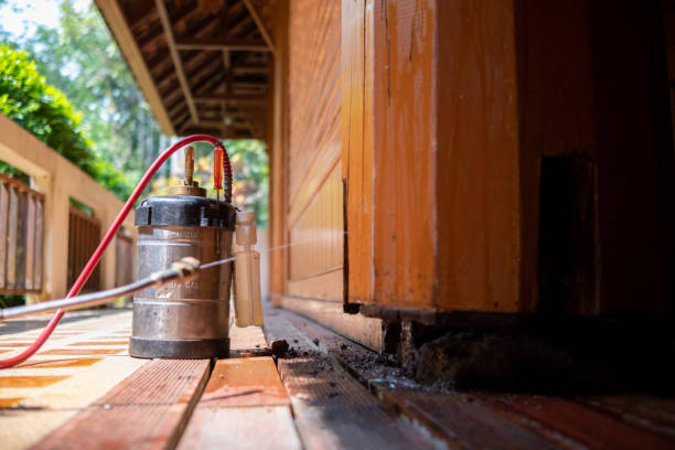 Best Mosquito Control Services  in Shelbina, MO