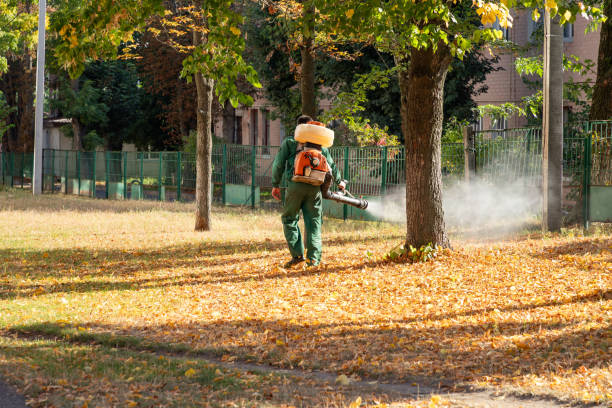 Best Commercial Pest Control Services  in Shelbina, MO