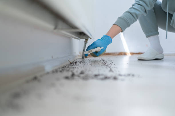 Best Best Pest Control Companies  in Shelbina, MO