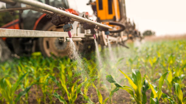 Professional Pest Control in Shelbina, MO